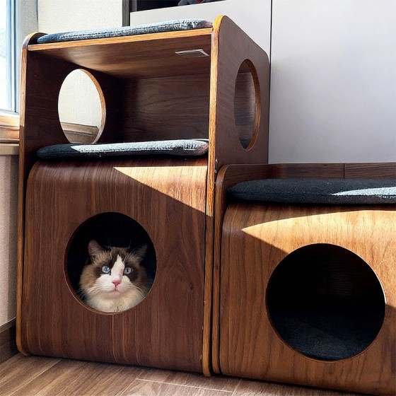 猫窝四季通用封闭式树洞猫屋实木共用家具猫几