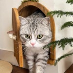 猫门卧室自由出入静音进出墙上开洞实木定制猫洞