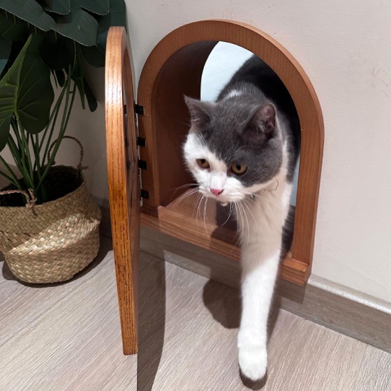 猫门卧室自由出入静音进出墙上开洞实木定制猫洞
