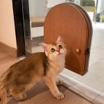 猫门卧室自由出入静音进出墙上开洞实木定制猫洞