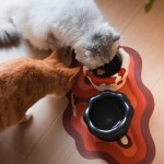 碗宠物用碗护颈椎饮水碗陶瓷宠物用品防黑下巴打翻狗碗