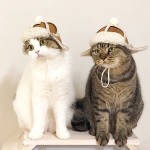 猫狗宠物秋冬皮毛一体麂皮绒护耳帽雷锋帽
