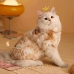 猫咪衣服秋冬保暖布偶德文小猫马甲冬装棉衣加绒冬天猫猫宠物冬季